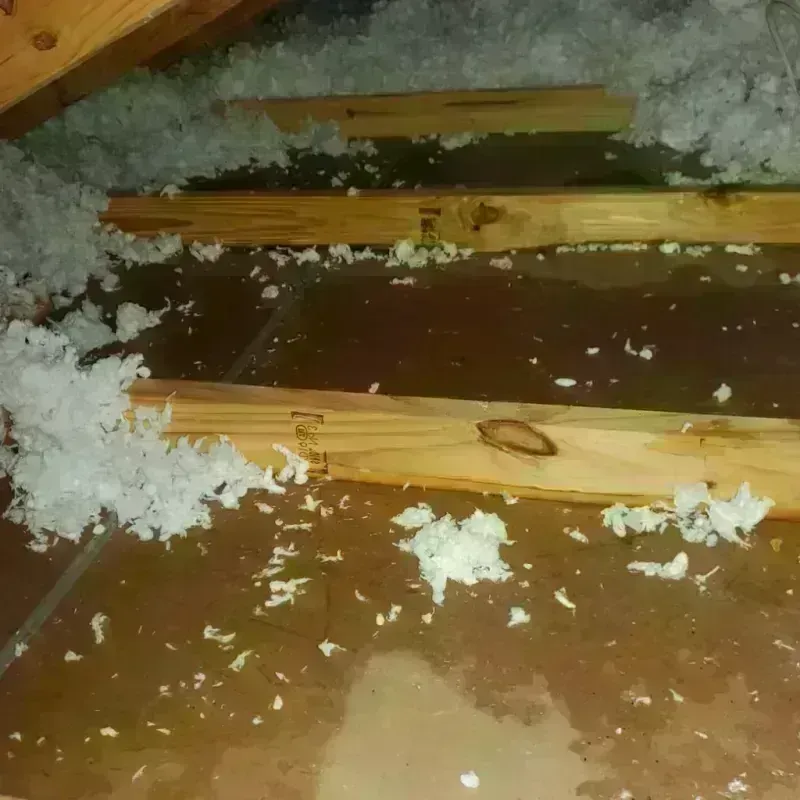 Attic Water Damage in Tujunga, CA